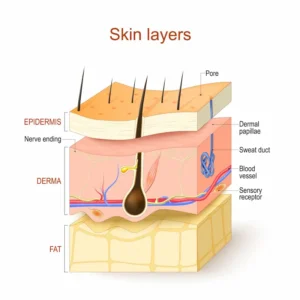 La pelle_Eukalìa, laboratorio cosmesi naturale